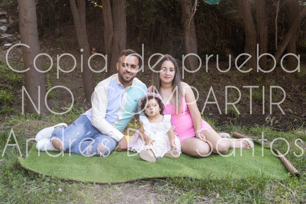 S2A1322